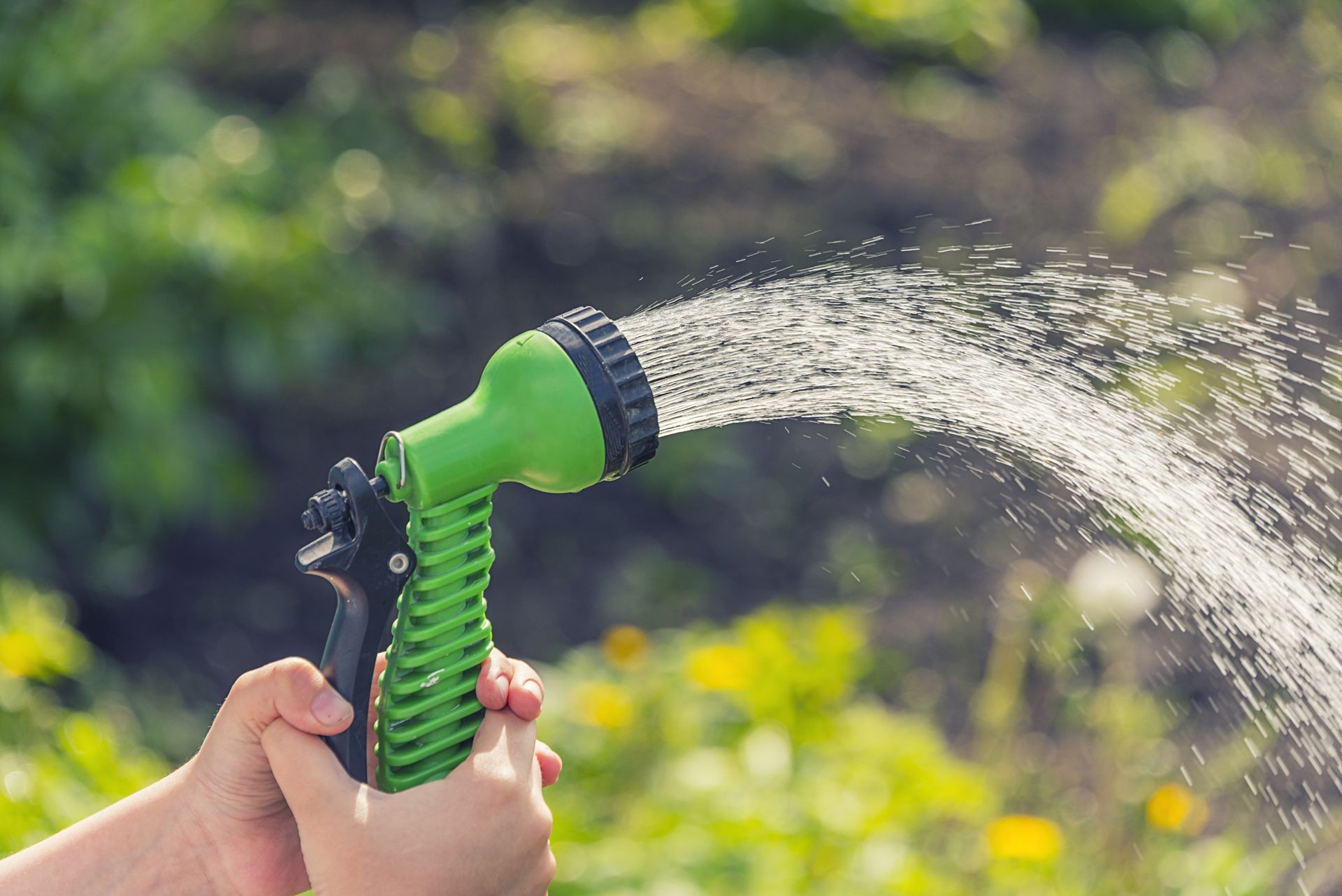 Hands with a green hose pour water on the garden in bright weather